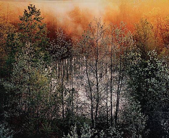 Spring Sunrise
