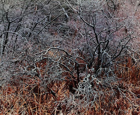 Ice Storm III